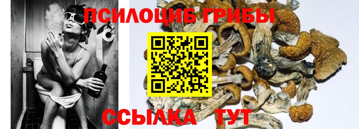 Лесосибирск  Галлюциногенные грибы GOLDEN TEACHER  Галлюциногенные грибы Psilocybe  Вход с VPN 