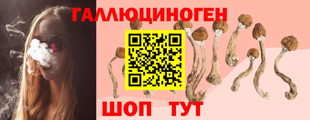 Псилоцибиновые грибы прущие грибы Лесосибирск